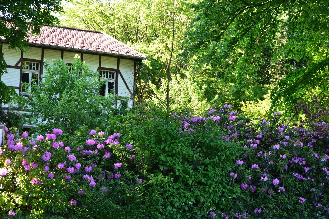 Gottesgabe Otel Rheine Dış mekan fotoğraf
